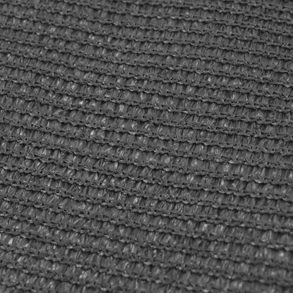 Tent Carpet 250x500 cm Anthracite