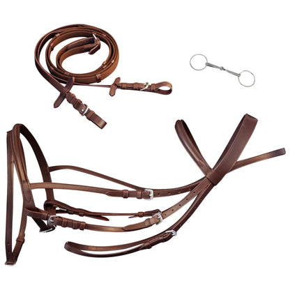 Leather Flash Bridle with Reins and Bit Brown Full