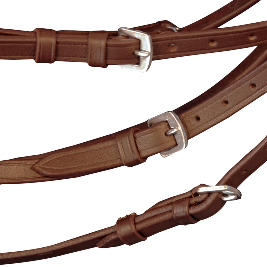 Leather Flash Bridle with Reins and Bit Brown Full