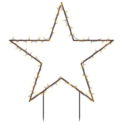 Christmas Light Decoration with Spikes Star 80 LEDs 60 cm