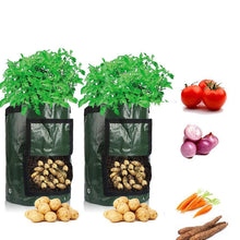 Load image into Gallery viewer, Reusable Potato Plant Grow Bags for Urban Gardening - MiniDM Store
