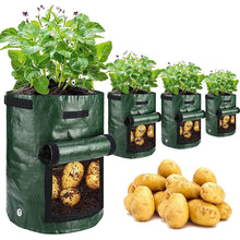 Load image into Gallery viewer, Reusable Potato Plant Grow Bags for Urban Gardening - MiniDM Store
