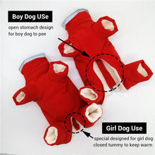 Load image into Gallery viewer, Winter Overalls for Dogs Warm Waterproof Pet Jumpsuit Trousers Male/ Female Dog Reflective Small Dog Clothes Puppy Down Jacket - MiniDM Store
