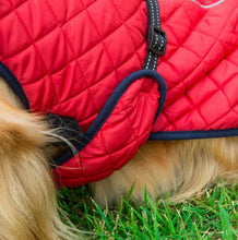 Load image into Gallery viewer, Dog Clothes Winter Thickening Warm Pet Reflective Outdoor Jacket Coat - MiniDreamMakers
