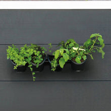 Load image into Gallery viewer, Nature Vertical Garden/Herb and Flower Kit
