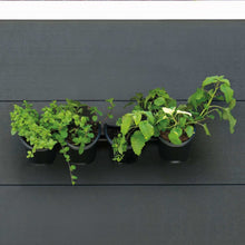 Load image into Gallery viewer, Nature Vertical Garden/Herb and Flower Kit
