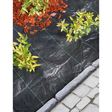 Load image into Gallery viewer, Nature Weed Control Ground Cover 2x10m Black
