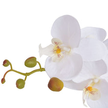 Load image into Gallery viewer, vidaXL Artificial Orchid Plant with Pot 65 cm White - MiniDM Store
