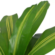 Load image into Gallery viewer, vidaXL Artificial Dracaena Plant with Pot 90 cm Green - MiniDM Store
