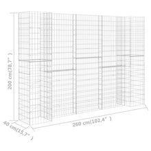Load image into Gallery viewer, vidaXL H-Shaped Gabion Planter Steel Wire 260x40x200 cm - MiniDM Store
