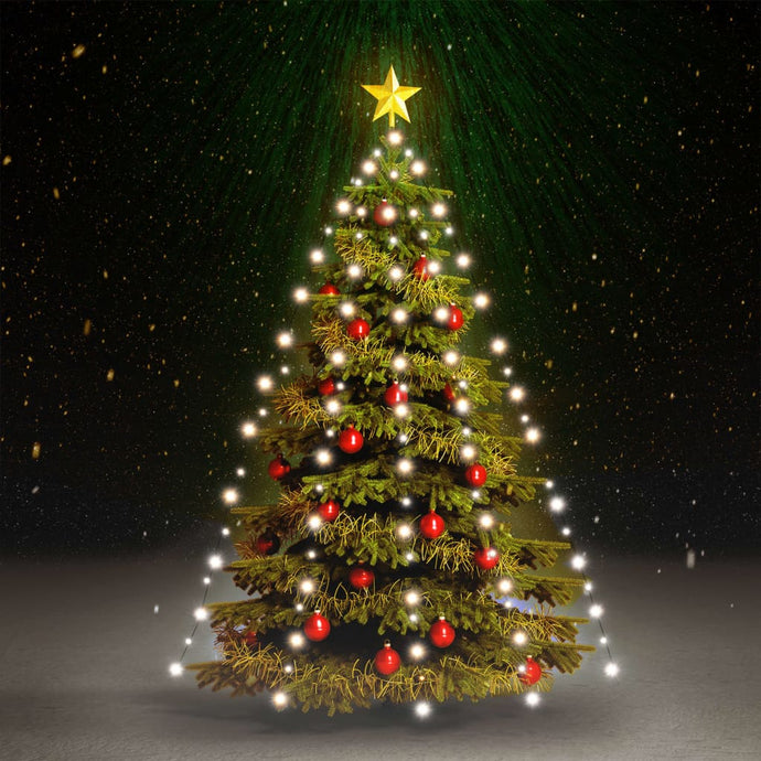 vidaXL Christmas Tree Net Lights with 210 LEDs IP44 Cold White 210 cm - MiniDM Store