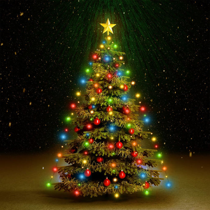vidaXL Christmas Tree Net Lights with 210 LEDs IP44 Colourful 210 cm - MiniDM Store