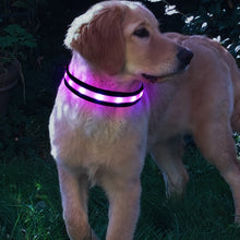 Load image into Gallery viewer, Nylon LED Pet Dog Collar,Night Safety Flashing Glow In The Dark Dog Leash,Dogs Luminous Fluorescent Collars Pet Supplies 4.7 - MiniDreamMakers
